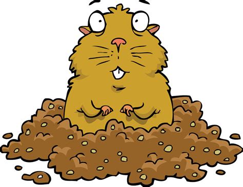 Popular power ultrasonic gopher pest of good quality and at affordable prices you can buy on aliexpress. 101 Gopher & Pest Control-SoCal's #1 Pest Control Svc.