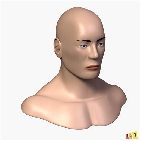 Male Head Anatomy 3d Model 199 Obj Max Lwo 3ds Free3d