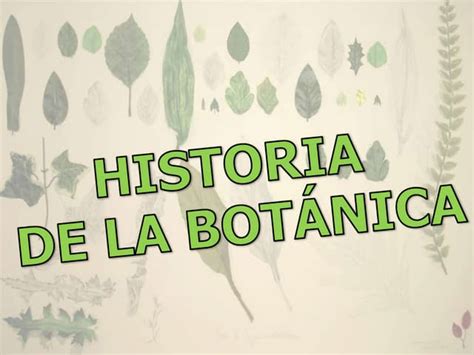 Historia De La Botánica Desde Sus Orígenes Hasta La Actualidad Ppt
