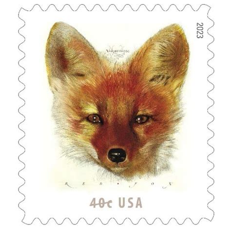 Postal Service Announces Red Fox Stamp Intelligent And Highly