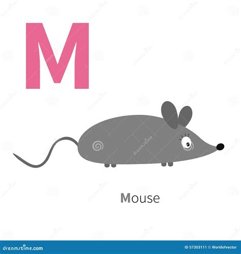 Alfabeto De La Letra M Mouse Zoo Abc Inglés Con Las Tarjetas De La