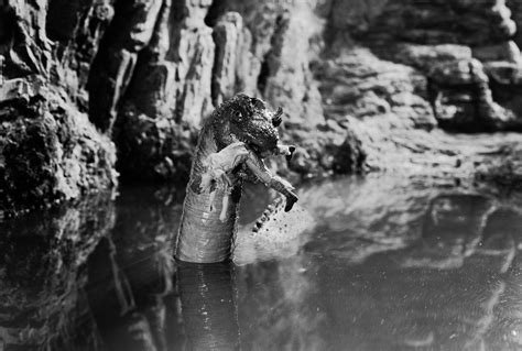 Cupid.com is a general dating website launched by nsi holdings in june 2002. How scientists debunked the Loch Ness Monster - Vox