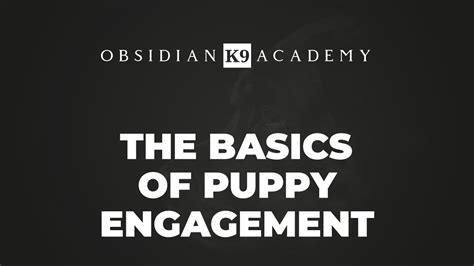 Training Videos Obsidian K9 Academyobsidian K9 Academy