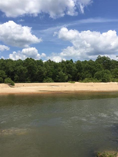 This Little Known Creek In Louisiana Is The Perfect Place To Get Away