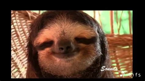 Ultimate Gifs With Sounds Compilation 2013 PART 2! - YouTube