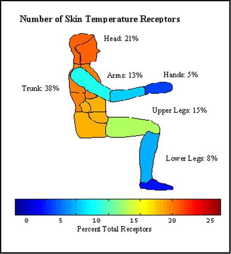Skin Temperature