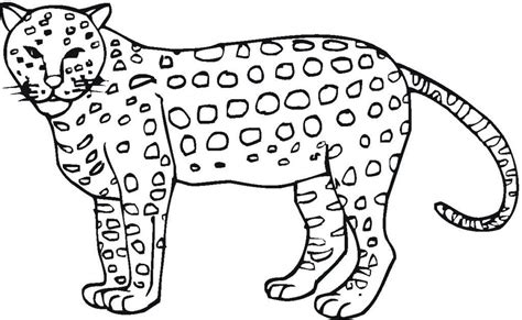Free Printable Cheetah Dibujo Para Imprimir Free Printable Cheetah
