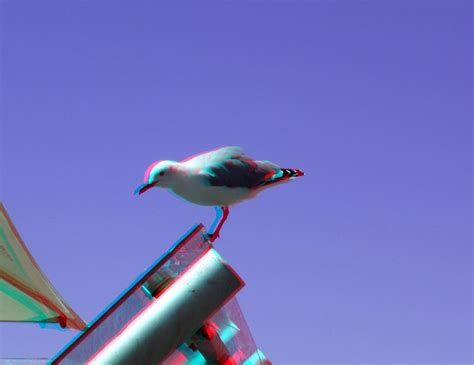Vanda Waterfront Cape Town In Anaglyph 3d Red Blue Glasses To View A
