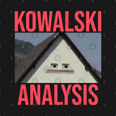 kowalski analysis meme hoodie teepublic