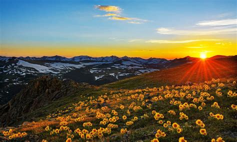 Sunset Sun Rays Landscape Stone Peaks Mountain Meadow With Yellow Flowers Beautiful Spring