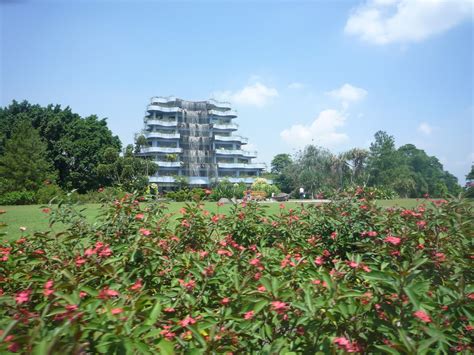 Berada di ketinggian pegunungan dan tidak jauh dari gunung gede membuat suasana dan udara disini segar sekali. Taman Bunga Di Pandeglang - Wisata Taman Bunga Bpi Spot Instagramable Di Pandeglang Bantennews ...