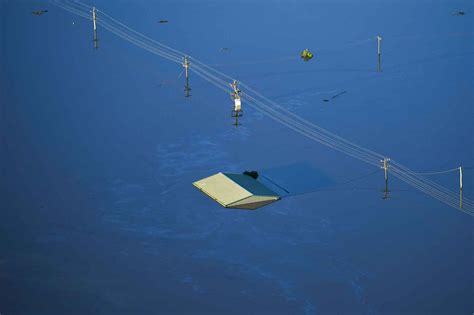 Doch er musste viel zu früh sterben. Mäuse und Hochwasser: Was im Südosten Australiens gerade ...