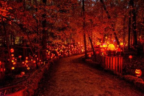 The Jack O Lantern Spectacular Is The Best Pumpkin Glow In Kentucky