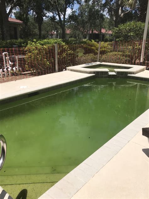 Pinch A Penny Pool Patio Spa - Naples, FL 34104