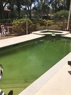 Pinch A Penny Palm Bay Fl