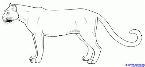 How To Draw Panthers Black Panthers Step 7 Drawings Animal Drawings