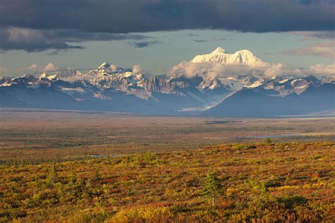 Scenic View Of Tundra And Taiga In Photograph By Michael Deyoung