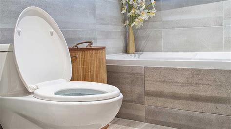 5 Types Of Toilets And What Type You Should Buy True Plumbers And Ac Blog