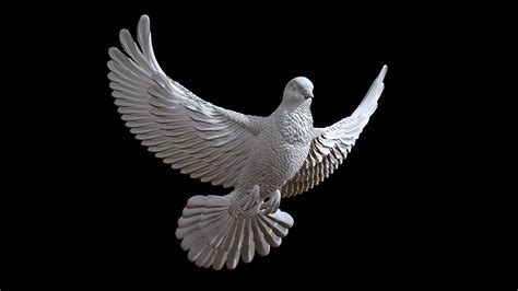 Dove Buy Royalty Free 3D Model By Explorertit36 Gmail Com Paydi