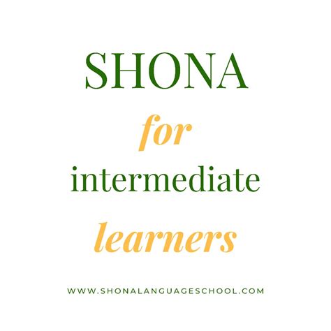 Shona For Intermediate B1 B2 5 Lessons Package Shona Language