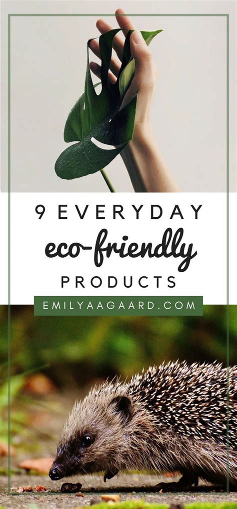 9 Eco Friendly Products Create A Positive Impact On The