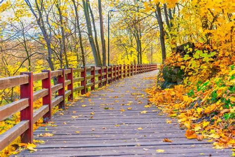 Wooden Bridge With Autumn Forest Stock Image Image Of Colorful Trees