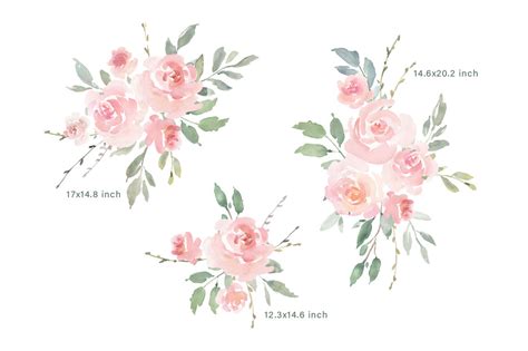 Pink Blush Watercolor Flowers Roses Png Collection By Watercolorflowers