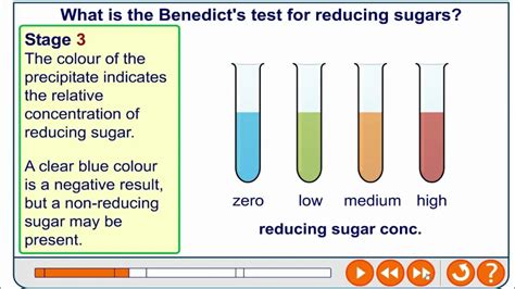 Benedicts Test For Reducing And Non Reducing Sugars Youtube
