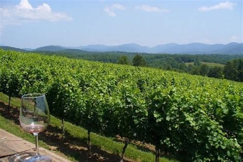 North Georgia Wine Country Tour From Atlanta From 10399 Cool
