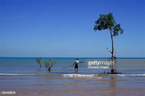 Aboriginal Spear Imagens E Fotografias De Stock Getty Images