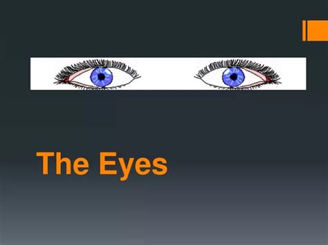Ppt The Eyes Powerpoint Presentation Free Download Id9716672