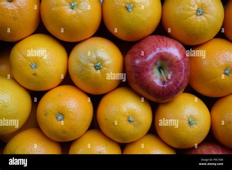 Apples Versus Oranges Hi Res Stock Photography And Images Alamy