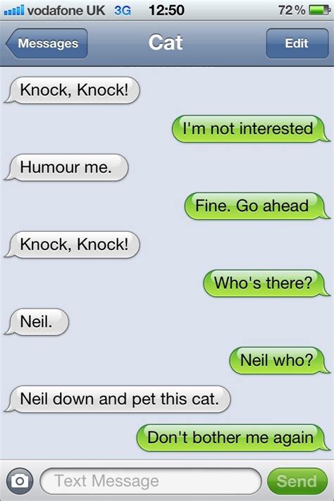 The Cat And The Knock Knock Joke