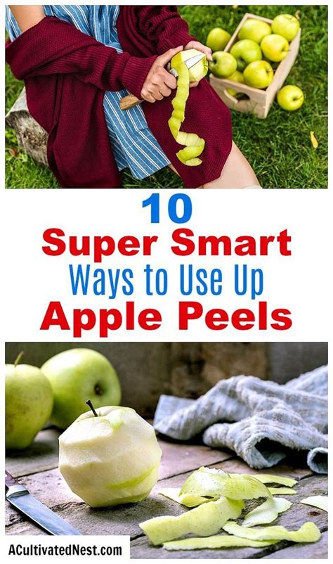 10 Clever Ways To Use Apple Peels A Cultivated Nest Recipe Using