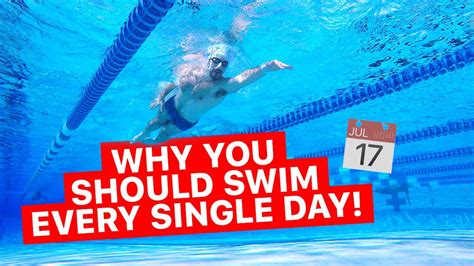 10 Reasons Why You Should Swim Every Day Youtube