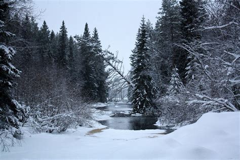 Landscape Tree Water Nature Forest Wilderness Finland Landscape