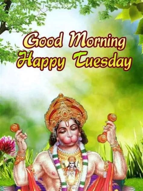 Incredible Selection Of K Tuesday Good Morning God Images Over