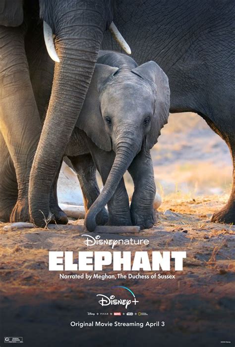 Elephant Disney Movie Large Poster