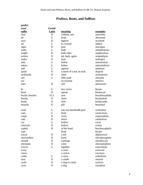 7 131 latin and greek meanings greek and latin prefixes roots and suffixes for ib 131 human