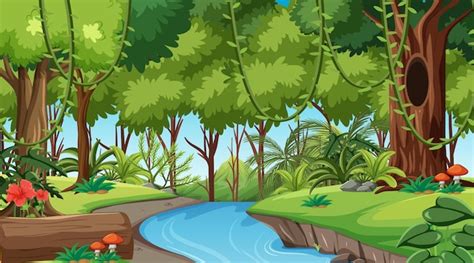 Tropical Rainforest Drawing Images Free Vectors Stock Photos And Psd