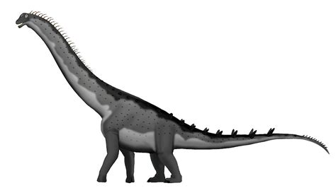 Alamosaurus Prehistoric Wiki Fandom