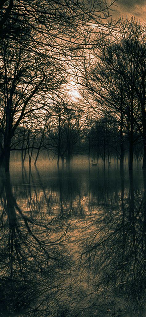 Dark Forest Surrounded Water 1080×2340 Webrfree