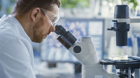 Scientist Looking Into Microscope Stock Image F0328454 Science