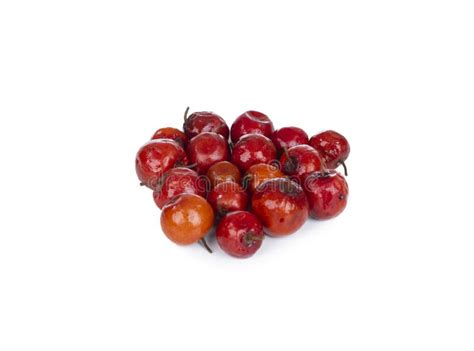 Indian Fruit Red Berry On White Background Stock Image Image Of