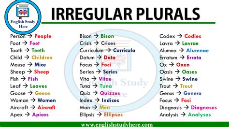 Irregular Plurals In English Irregular Plurals Plurals English Grammar