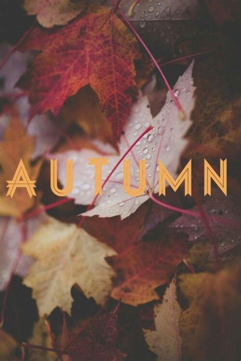 Pin By Beautiful Wonderland On What I Love About Autumn Autumn Leaves