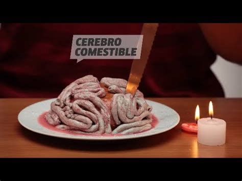 Aprende A Hacer Un Cerebro Comestible Youtube