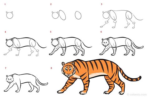 Share More Than Tiger Sketch Simple Latest Seven Edu Vn