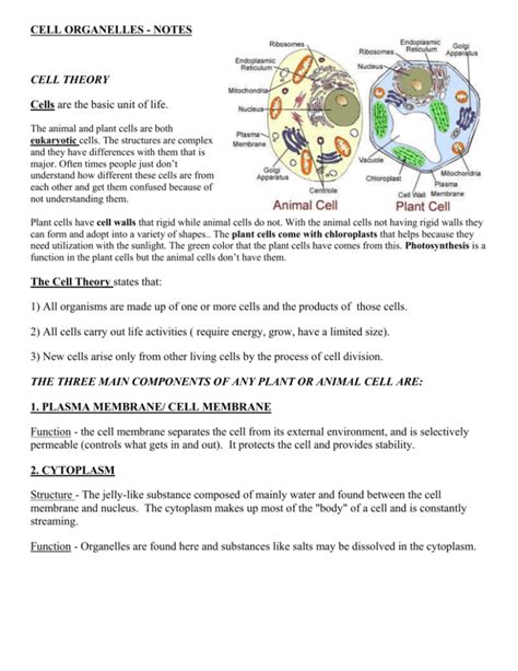 Cell Organelles