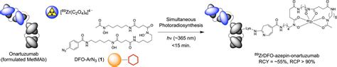 Light Induced Radiosynthesis Of 89zr Dfo Azepin Onartuzumab For Imaging